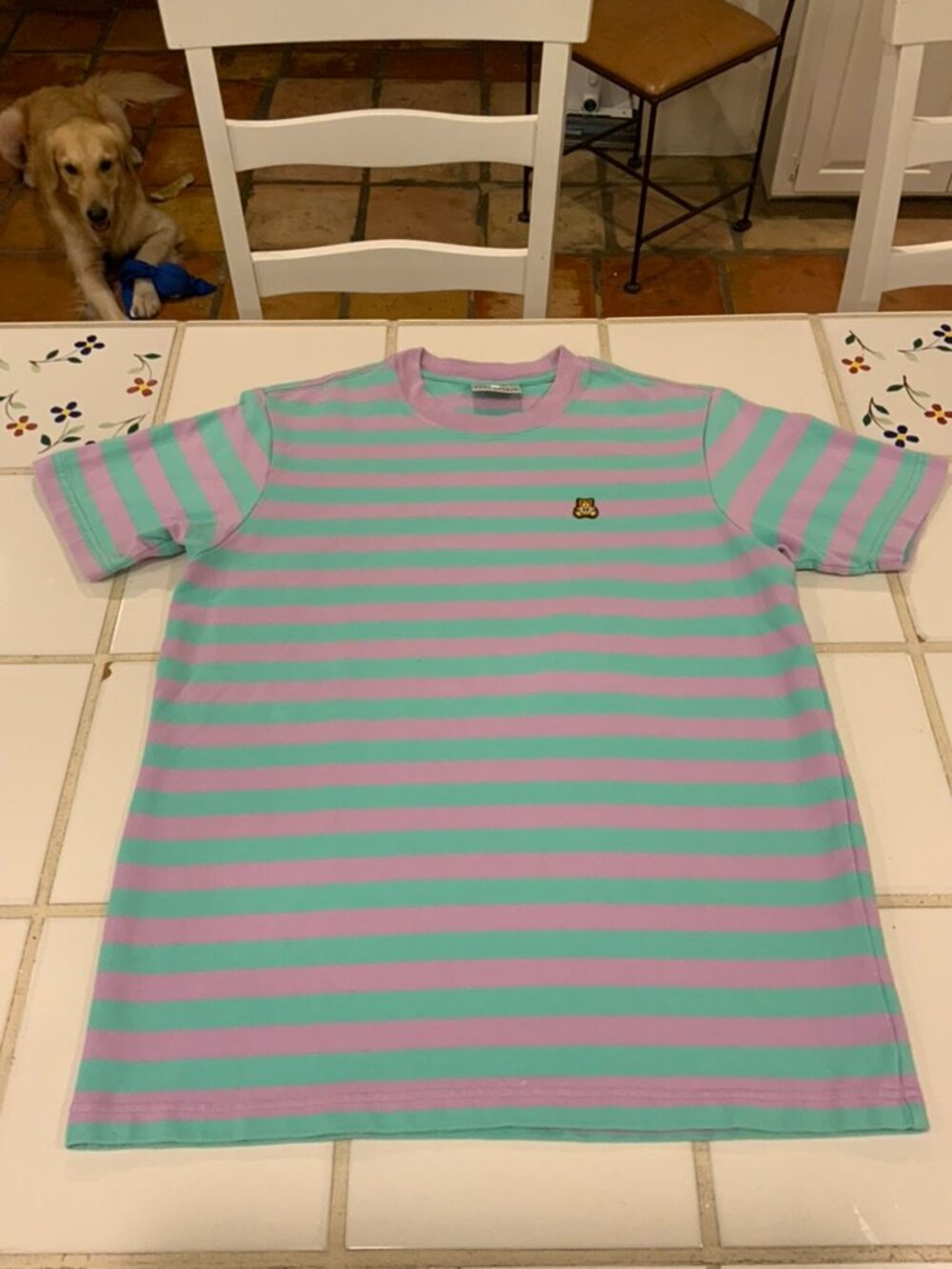 Teddy Fresh Pastel Striped Teddy Bear T-Shirt — Size Small